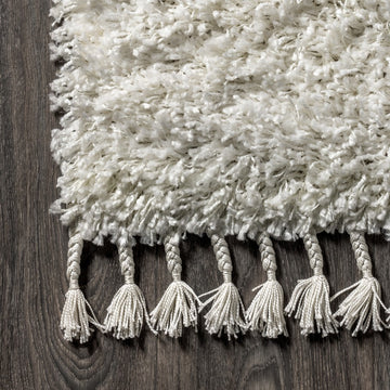 Mercer Shag Plush Tassel Area Rug